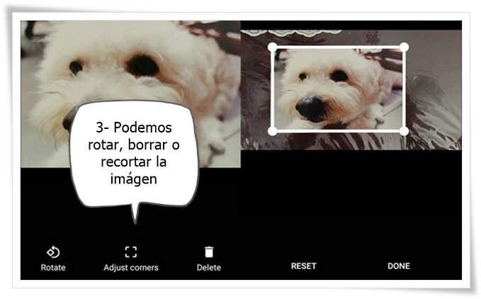 3 pasos rápidos para escanear fotos de papel con PhotoScan de Google - Estudio Desde Casa